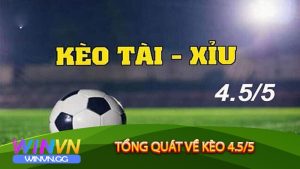 Tổng quát về Kèo 4.5/5