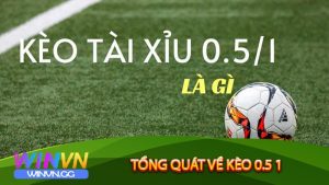 Tổng quát về kèo 0.5 1