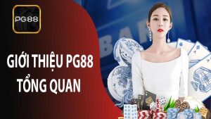 Giới thiệu lịch sử thương hiệu PG88